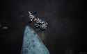 3.96 MB