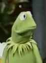 73 KB