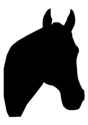 7 KB
