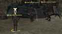773 KB