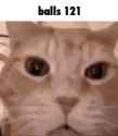 376 KB