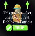 169 KB