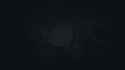 1.55 MB