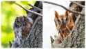 1.49 MB