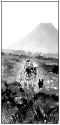 2.48 MB