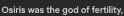 3 KB