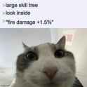 98 KB