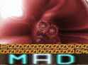 1.53 MB