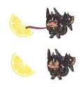 208 KB