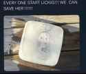 243 KB