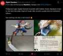 323 KB