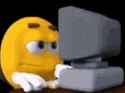 43 KB