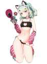 2.9 MB