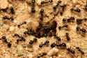 216 KB