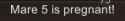 4 KB