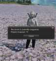 1.13 MB