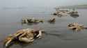 42 KB