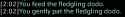 16 KB