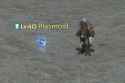 173 KB