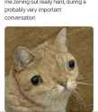 57 KB