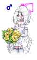 227 KB