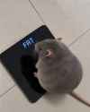 410 KB
