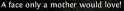 9 KB