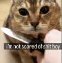 93 KB