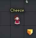 5 KB
