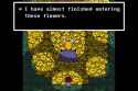 1.22 MB