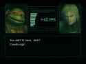 2.6 MB
