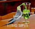 62 KB
