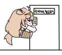 44 KB
