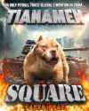 176 KB