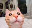58 KB