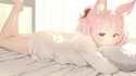 44 KB