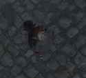 1.11 MB