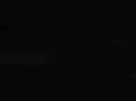 1.55 MB