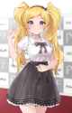 1.13 MB