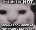 29 KB