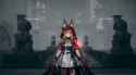 3.11 MB
