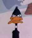 5 KB
