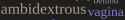 19 KB