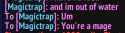 13 KB