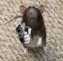 1.32 MB