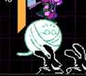 21 KB
