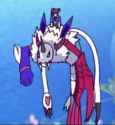 242 KB