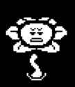 19 KB