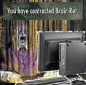 119 KB