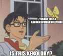 59 KB